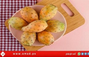 4 صفات يتمتع بها محبي التين الشوكي