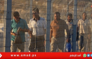  نقابات عمال فلسطين: سلطات الاحتلال قتلت 25 عاملا منذ مطلع العام الجاري