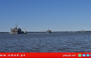 الحوثيون: استهداف السفن المرتبطة بإسرائيل والولايات المتحدة وبريطانيا - تفاصيل
