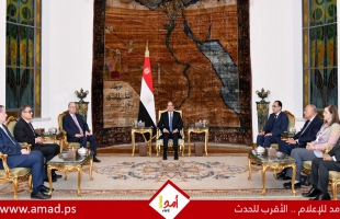 السيسي لــ مصطفى: مصر ستظل دومًا على موقفها الداعم للقضية الفلسطينية