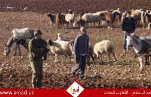تقرير: وزراء في حكومة الاحتلال يجوبون الضفة يروجون للضم ويحتفون ب " مزارع العنف الرعوية "