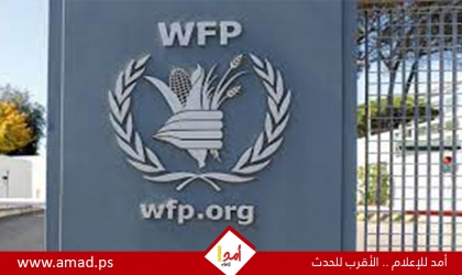 الأغذية العالمي: وقف النار هو السبيل الوحيد لوصول المساعدات لغزة
